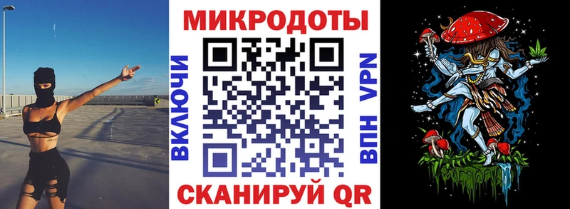 Псилоцибиновые грибы Psilocybe  закладки  Курчатов 